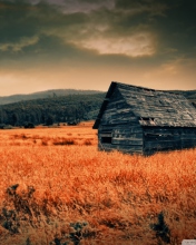 Screenshot №1 pro téma Lonely Countryside 176x220