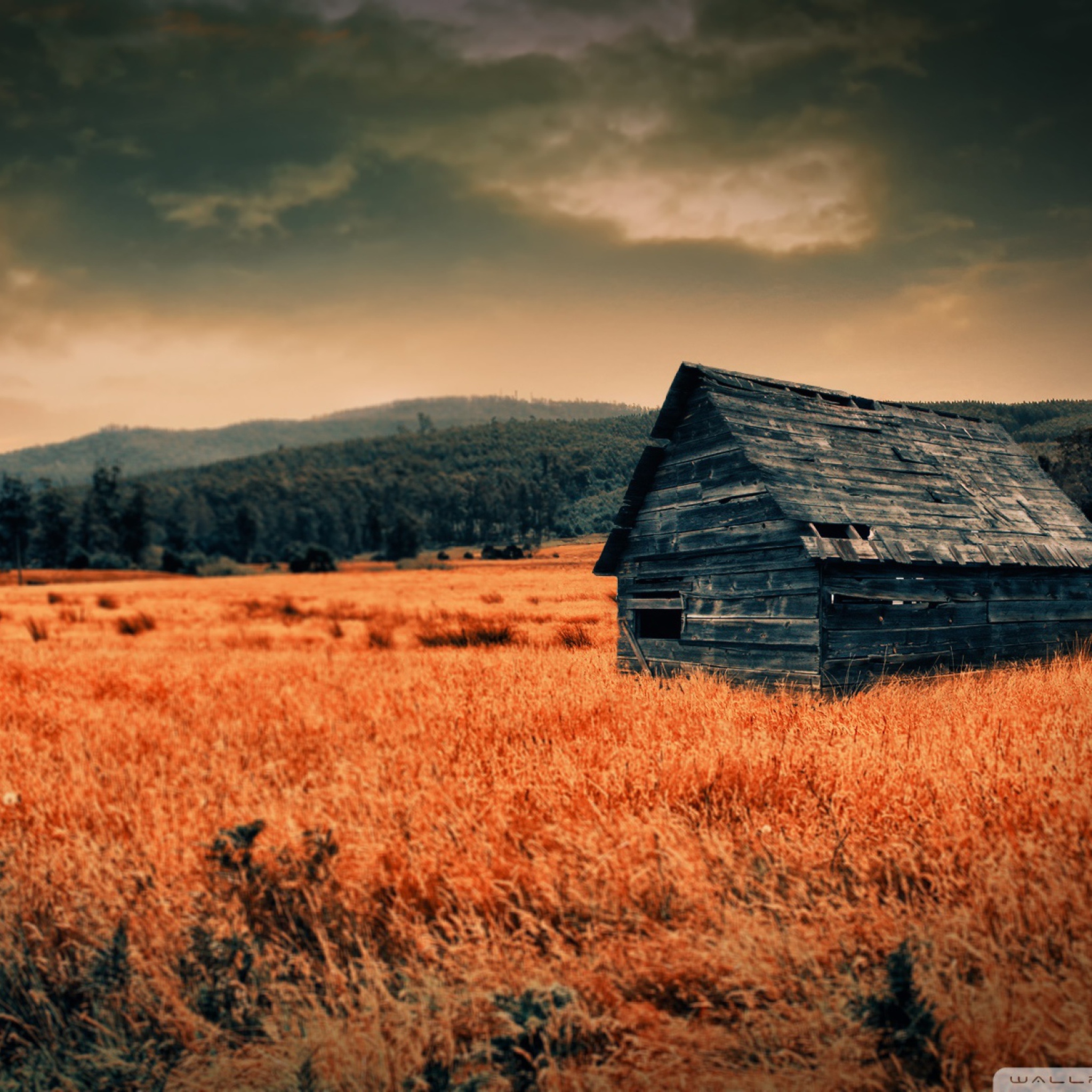 Screenshot №1 pro téma Lonely Countryside 2048x2048