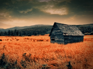 Lonely Countryside wallpaper 320x240