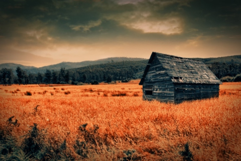 Das Lonely Countryside Wallpaper 480x320