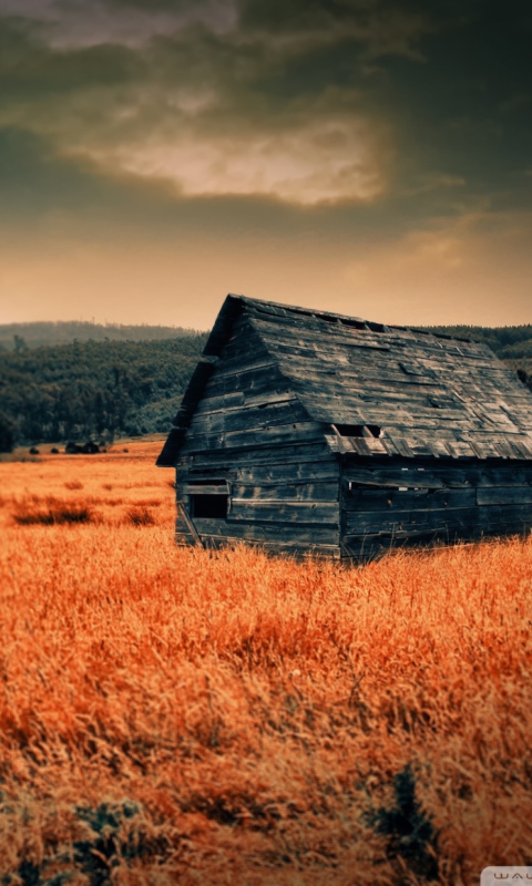 Lonely Countryside wallpaper 480x800