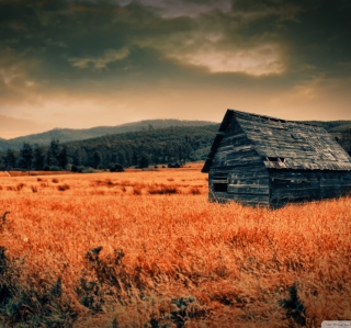 Lonely Countryside - Obrázkek zdarma pro iPad 3