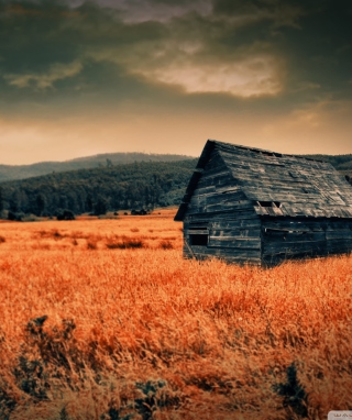 Lonely Countryside - Obrázkek zdarma pro Nokia C6