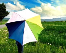 Fondo de pantalla Colorful Umbrella 220x176