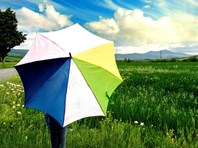 Fondo de pantalla Colorful Umbrella 640x480