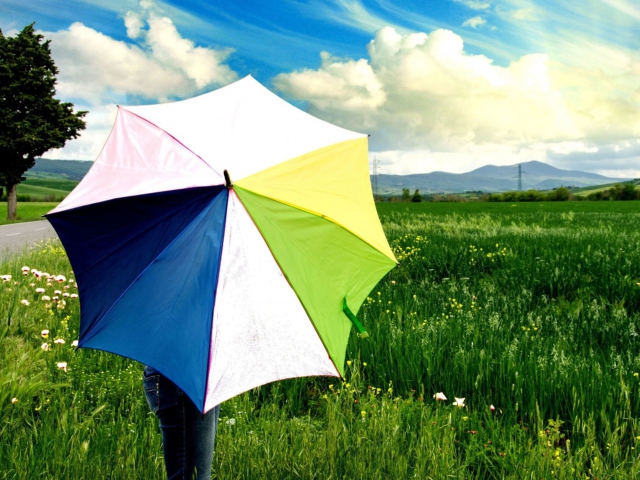 Colorful Umbrella wallpaper 640x480