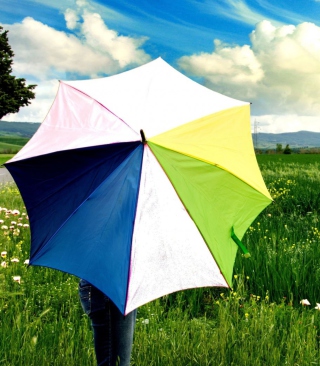 Kostenloses Colorful Umbrella Wallpaper für 240x320