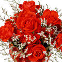 Fondo de pantalla Roses Bouquet 128x128