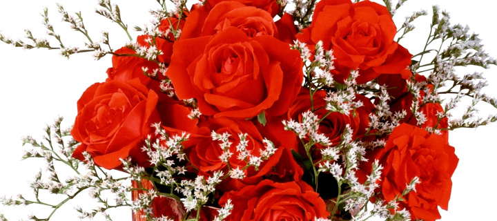 Das Roses Bouquet Wallpaper 720x320