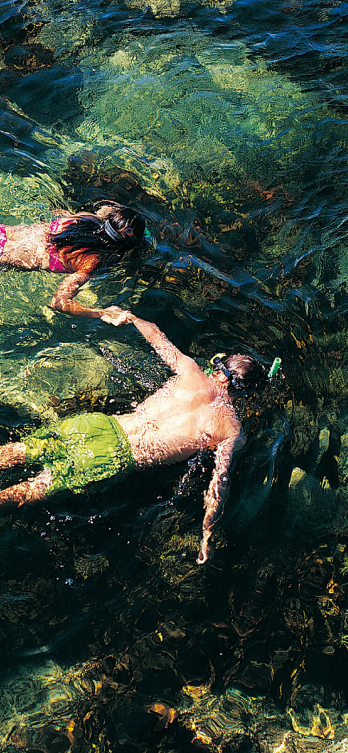 Couple Swimming In Caribbean wallpaper 1170x2532
