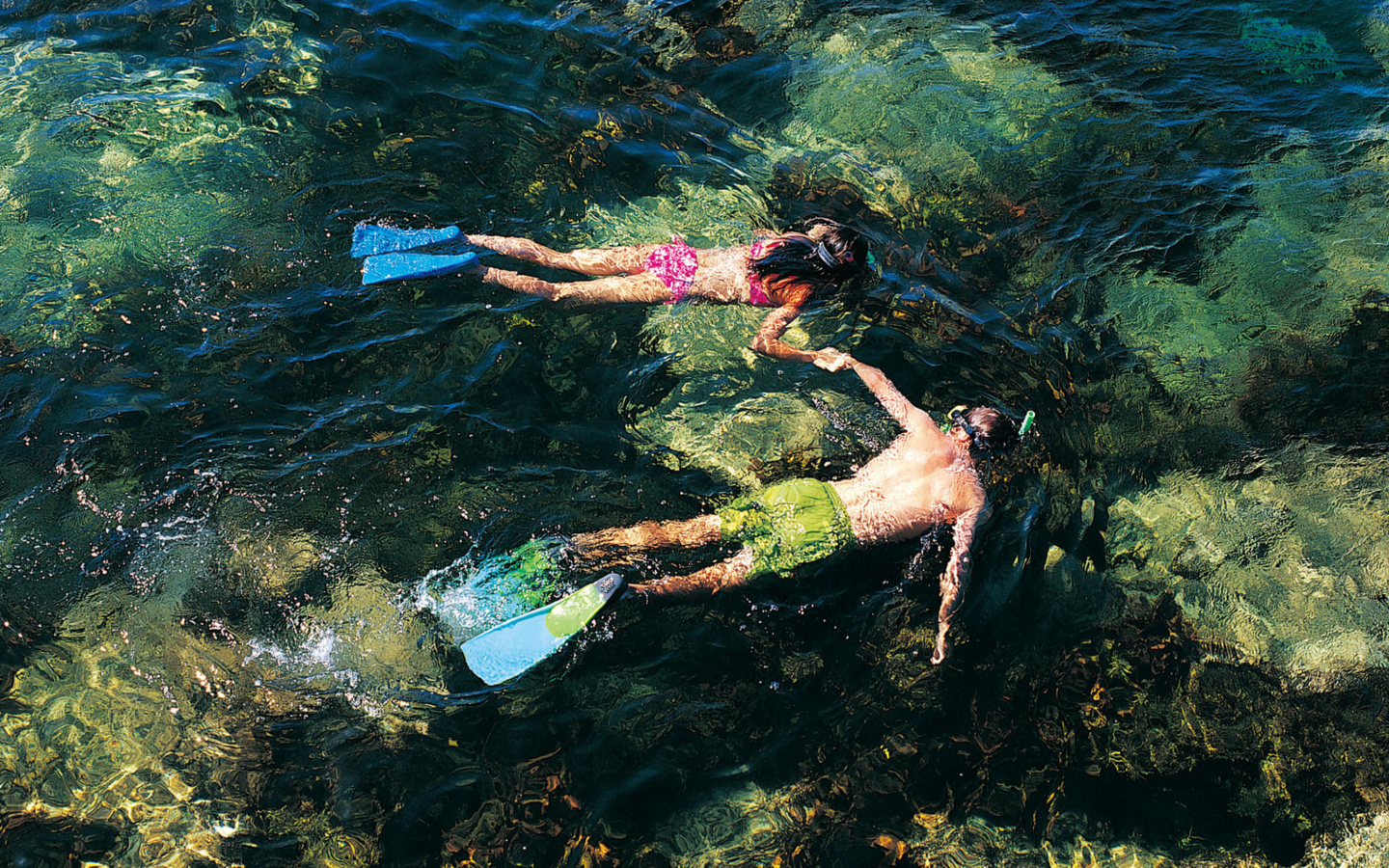 Couple Swimming In Caribbean wallpaper 1440x900