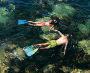 Couple Swimming In Caribbean wallpaper 176x144