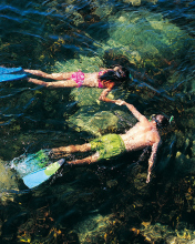 Das Couple Swimming In Caribbean Wallpaper 176x220