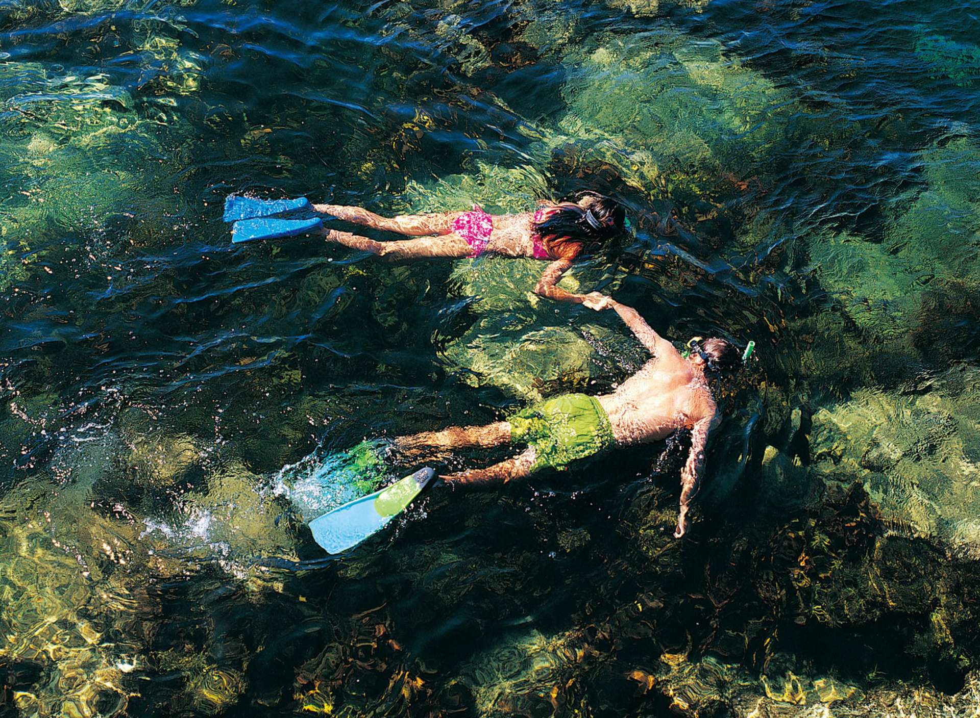 Обои Couple Swimming In Caribbean 1920x1408