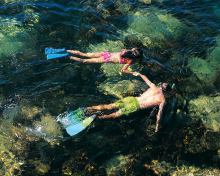 Das Couple Swimming In Caribbean Wallpaper 220x176