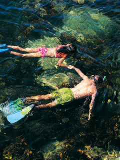 Fondo de pantalla Couple Swimming In Caribbean 240x320