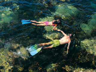 Fondo de pantalla Couple Swimming In Caribbean 320x240