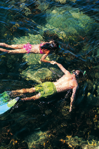 Couple Swimming In Caribbean wallpaper 320x480