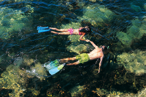 Das Couple Swimming In Caribbean Wallpaper 480x320