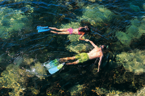 Screenshot №1 pro téma Couple Swimming In Caribbean 480x320