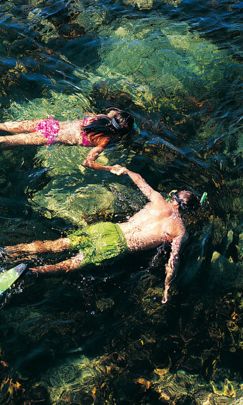 Fondo de pantalla Couple Swimming In Caribbean 480x800