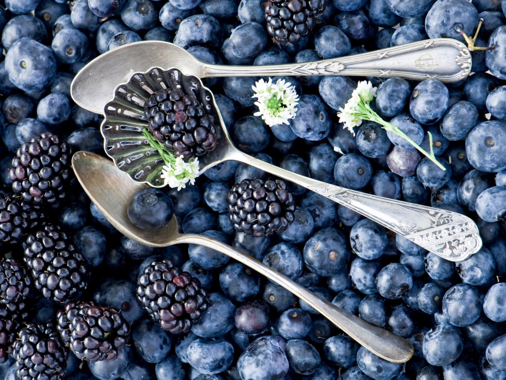 Blackberries & Blueberries wallpaper 1024x768