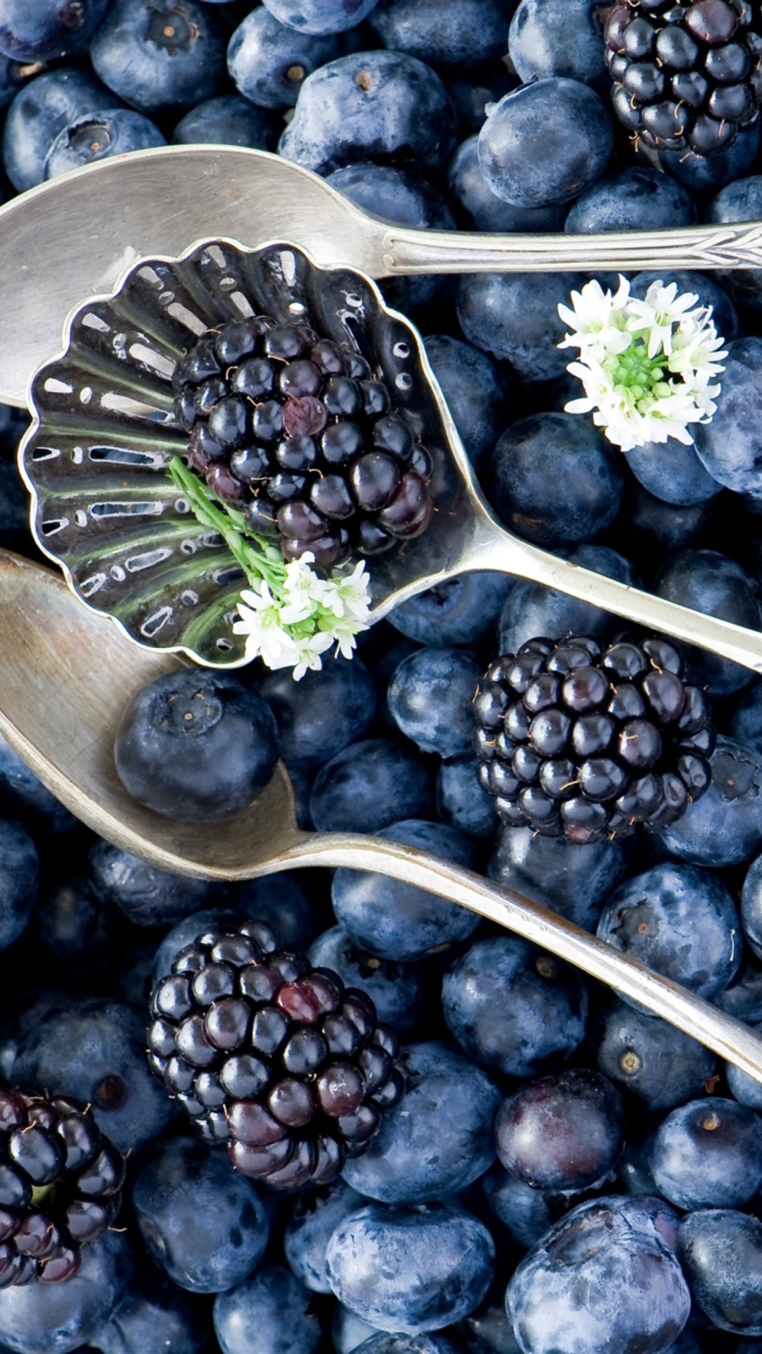 Blackberries & Blueberries wallpaper 1080x1920