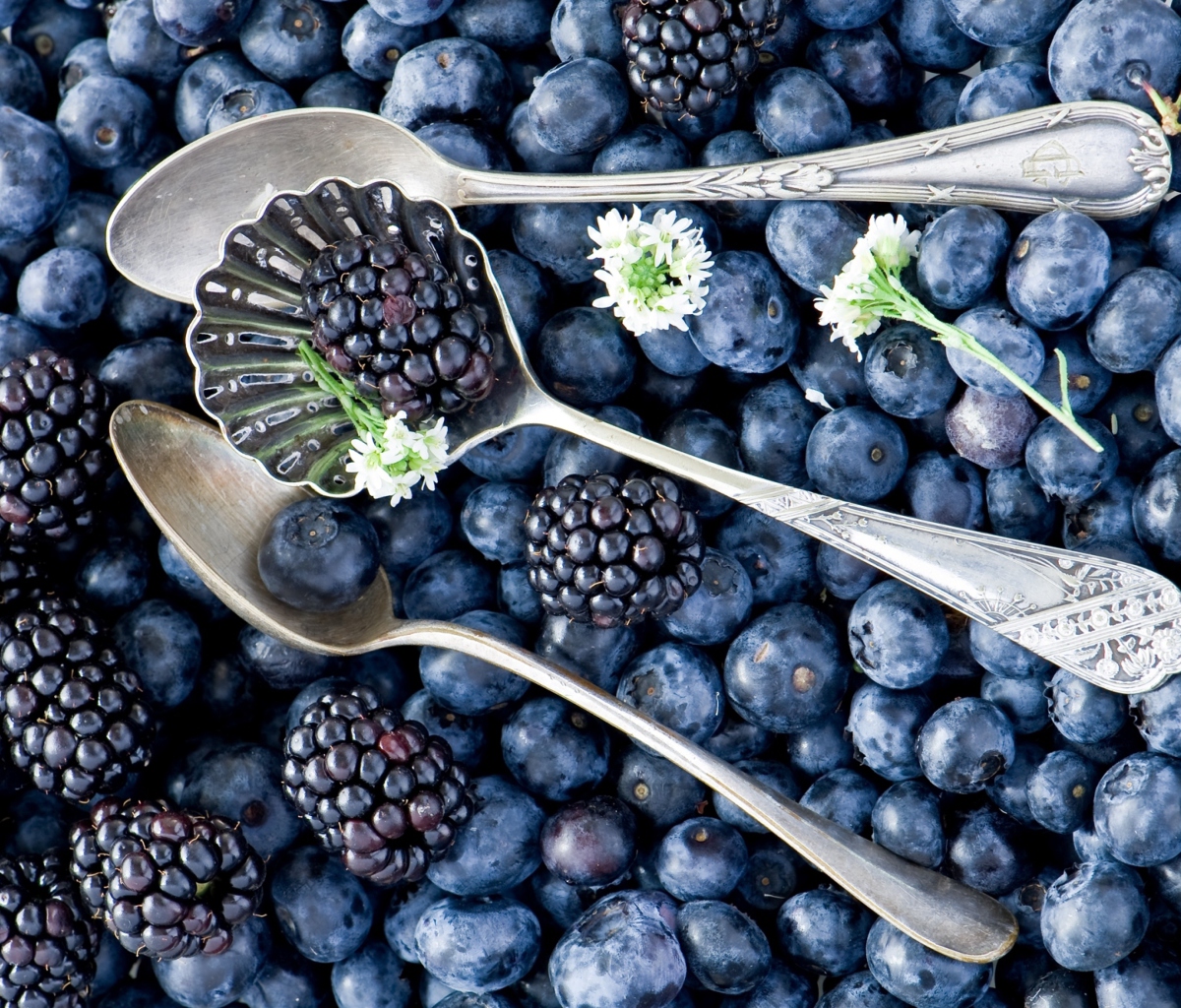 Das Blackberries & Blueberries Wallpaper 1200x1024