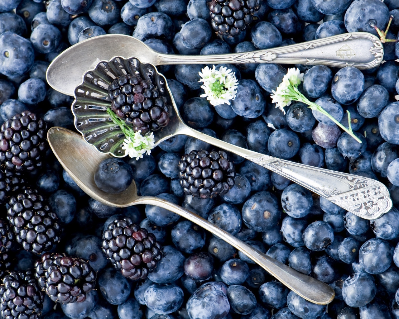 Blackberries & Blueberries wallpaper 1280x1024