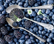 Blackberries & Blueberries wallpaper 176x144