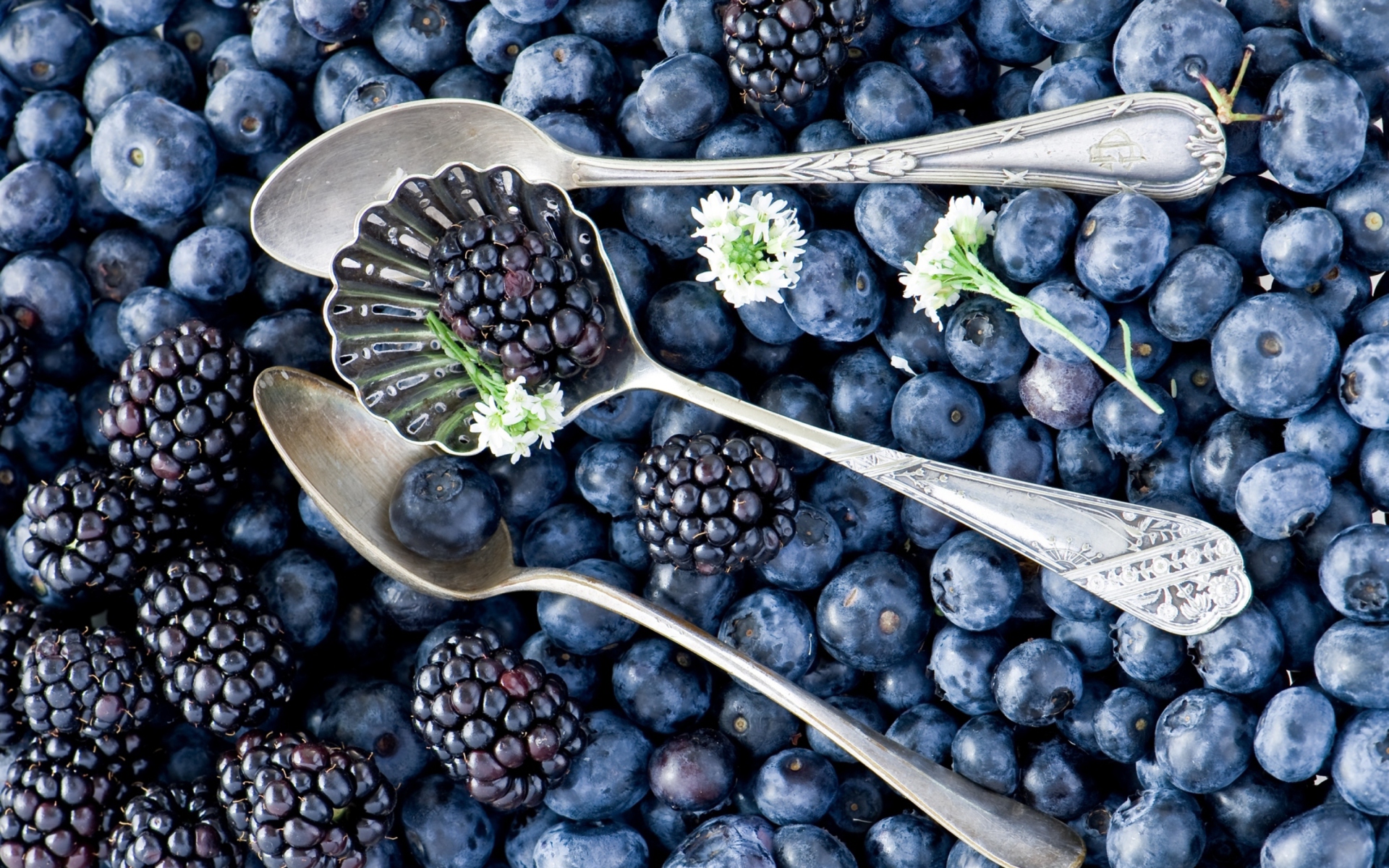 Screenshot №1 pro téma Blackberries & Blueberries 1920x1200