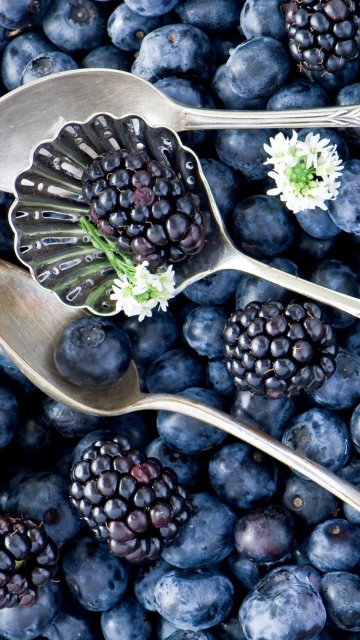 Обои Blackberries & Blueberries 360x640