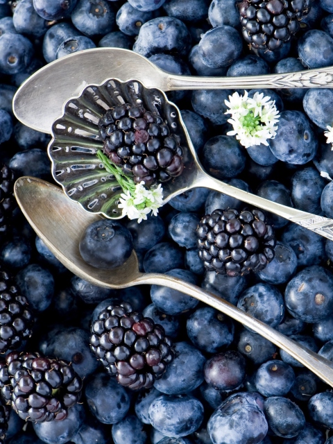 Sfondi Blackberries & Blueberries 480x640