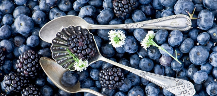 Das Blackberries & Blueberries Wallpaper 720x320