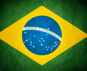 Обои Brazil Flag 176x144