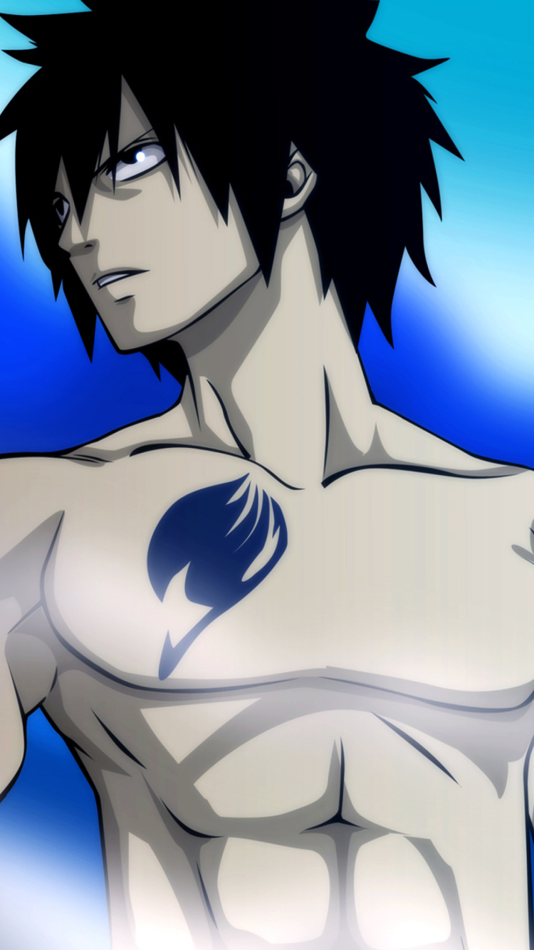 Screenshot №1 pro téma Fairy Tail - Gray Fullbuster 750x1334