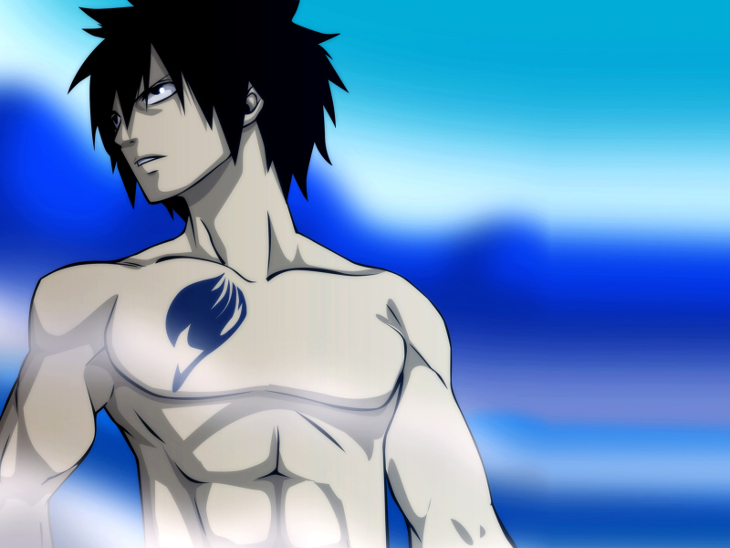 Fairy Tail - Gray Fullbuster screenshot #1 800x600