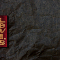 Levis screenshot #1 208x208