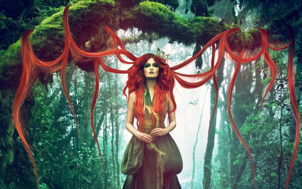 Forest Fairy wallpaper 1280x800