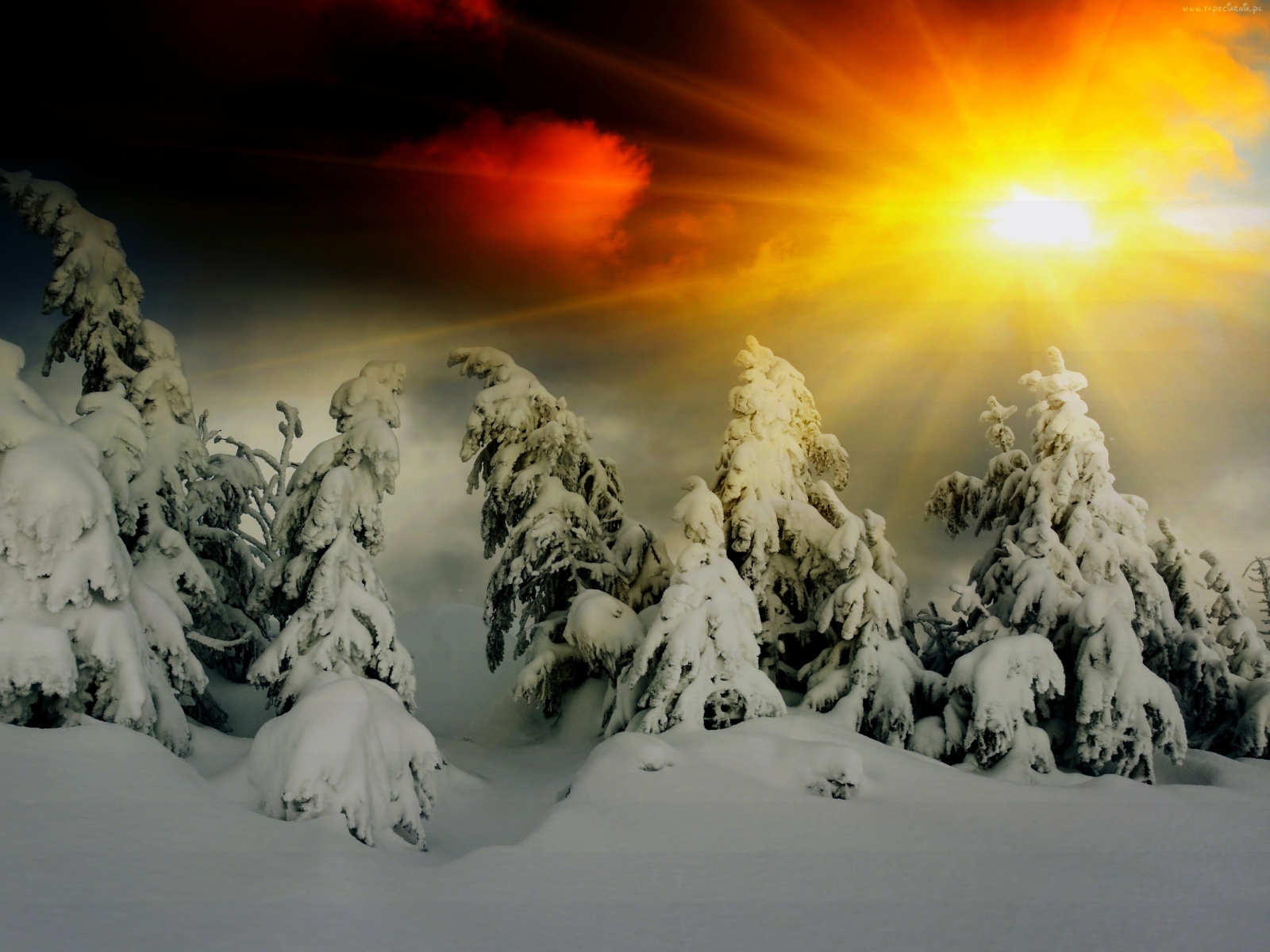 Winter Shine screenshot #1 1600x1200
