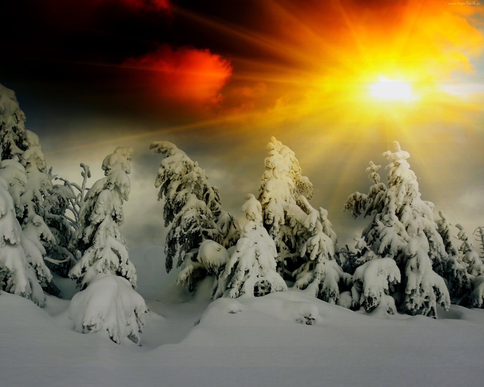 Winter Shine screenshot #1 1600x1280
