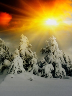 Winter Shine screenshot #1 240x320