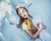 Sleeping Snow Beauty wallpaper 220x176