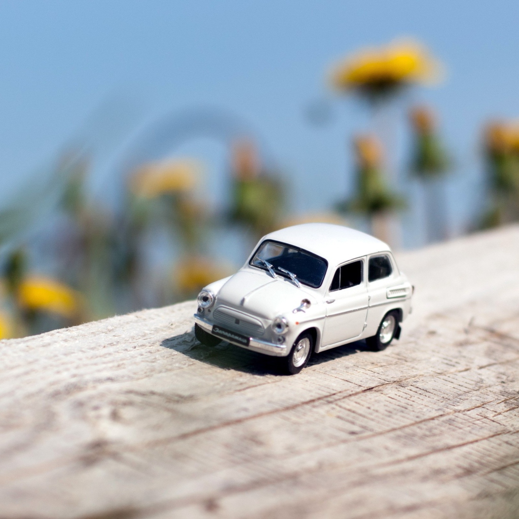 Mini Toy Car wallpaper 1024x1024