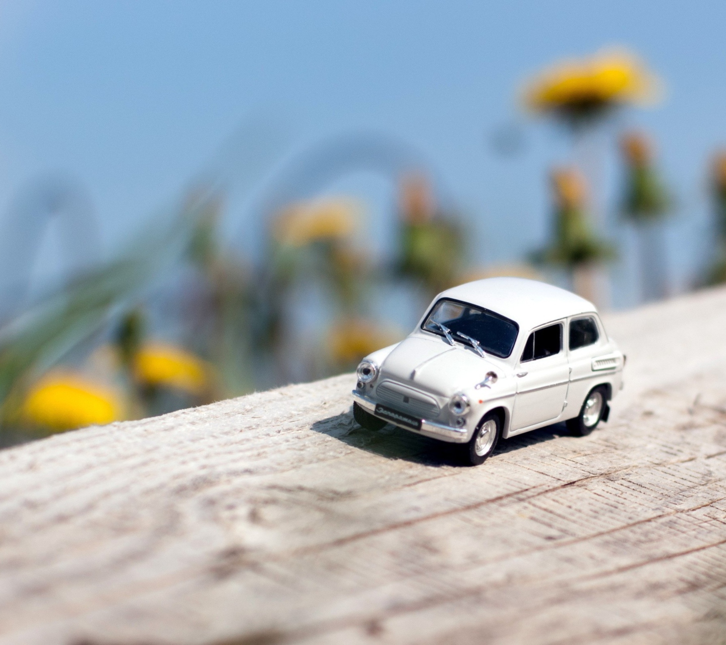 Das Mini Toy Car Wallpaper 1440x1280