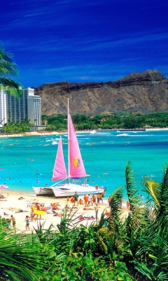 Fondo de pantalla Waikiki Oahu Hawaii 240x400
