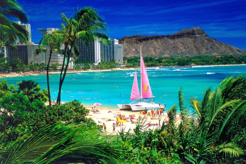 Screenshot №1 pro téma Waikiki Oahu Hawaii 480x320