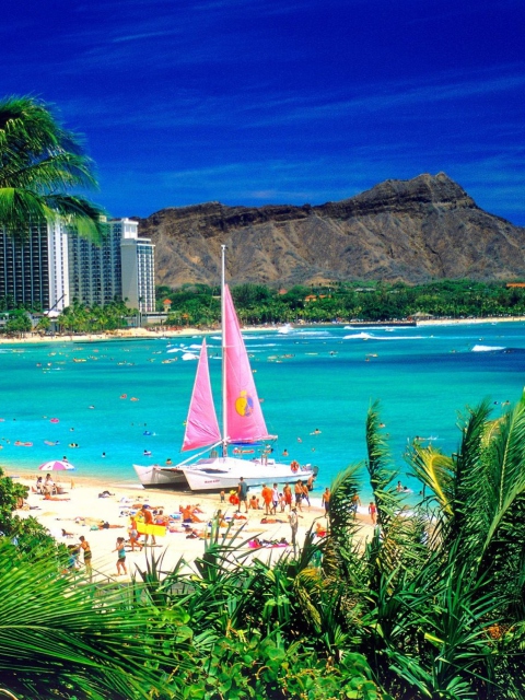 Screenshot №1 pro téma Waikiki Oahu Hawaii 480x640