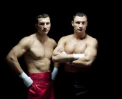 Обои Klitschko brothers Wladimir and Vitali 176x144