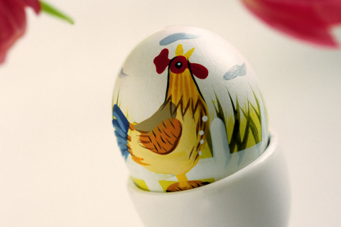 Easter Egg With A Beautiful Motif wallpaper 480x320